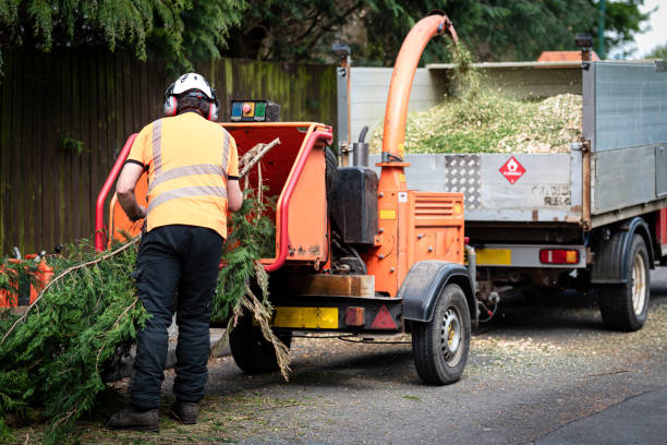 Best Grass Overseeding  in Seaford, DE